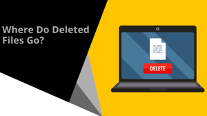 Where Do Deleted Files Go?